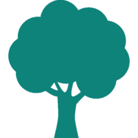 Teal Tree Icon